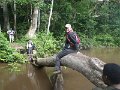277 275 IMGP1911